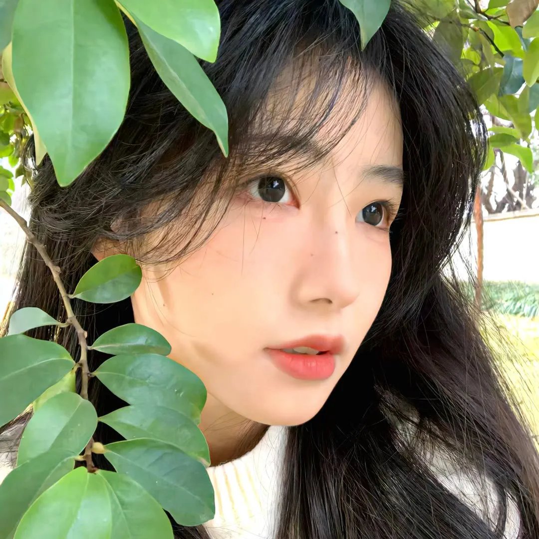 五个女人